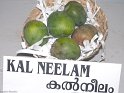 Kal Neelam